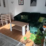 Stokrotka