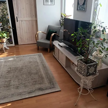 Apartament Stokrotka *